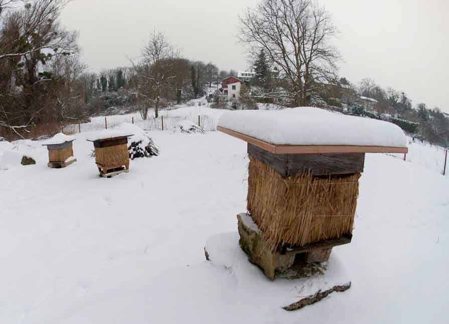 ruches sous neige 3