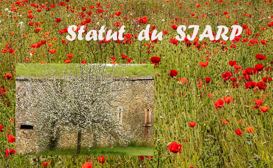 statut
